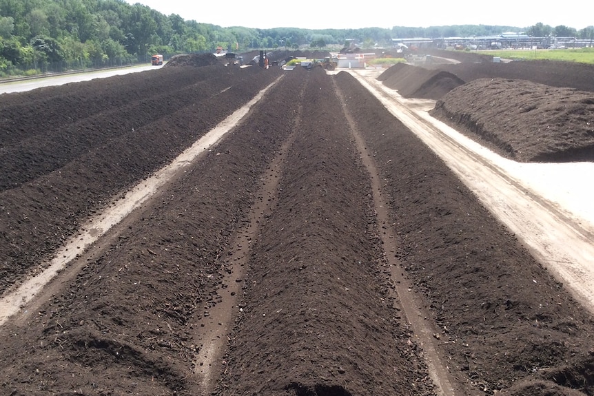 Rows of compost in Vienna.