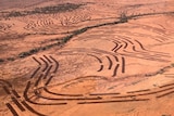 An aerial view showing red dirt and tractor marks where Barry Turner has applied the principles of EMU