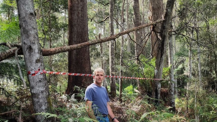 A man stands next to a trees with red tape in the background
