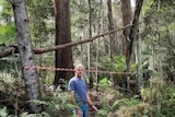 A man stands next to a trees with red tape in the background
