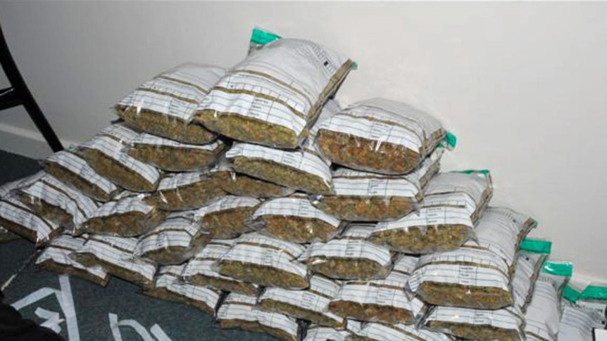 15 kg of cannabis seized in Kununurra