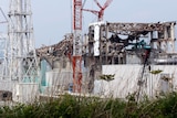 Fukushima Dai-Ichi nuclear power plant