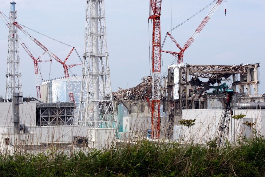 Fukushima nuclear plant