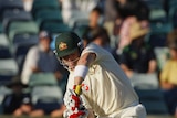 Brad Haddin plays a shot