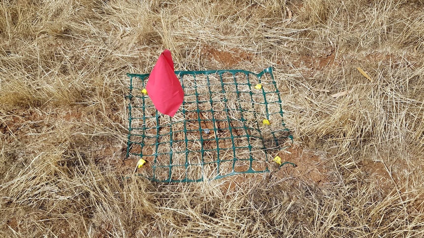 An installed mesh net to protect the turtle eggs in the wild