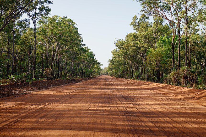 A wide red dirt road with rows of green native Australian trees on either side.