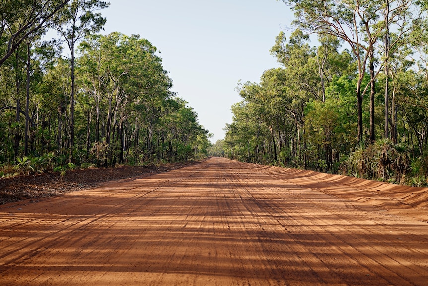 A wide red dirt road with rows of green native Australian trees on either side.