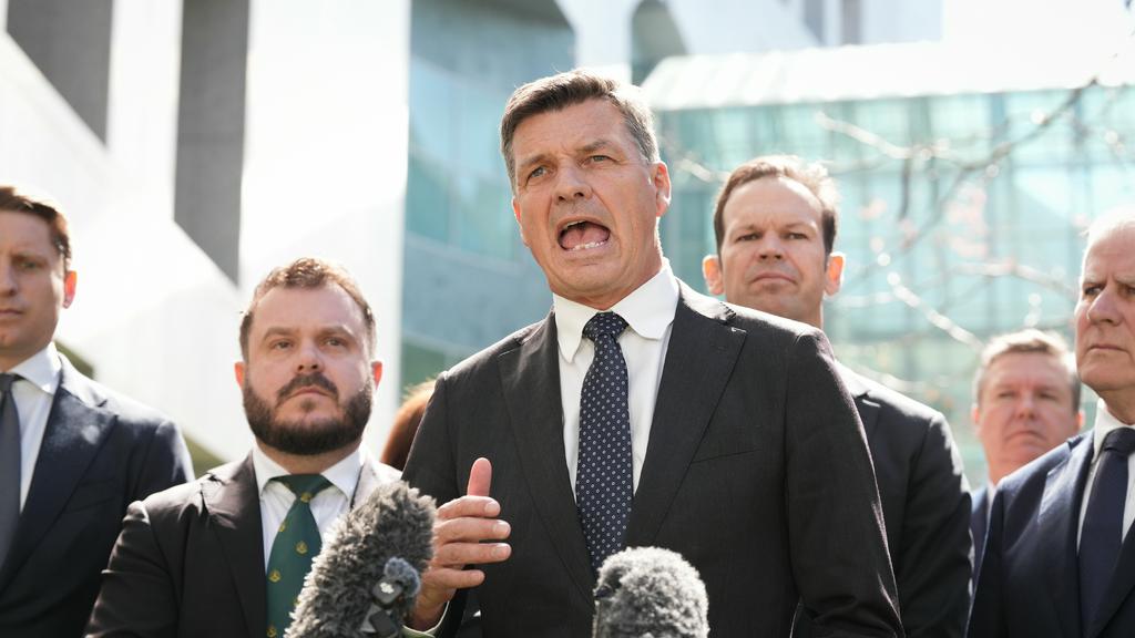 Coalition vows to cut $15 off tank of petrol when global prices spike