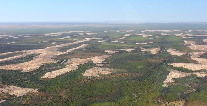 Climate Change Turning Desert Green - ABC News