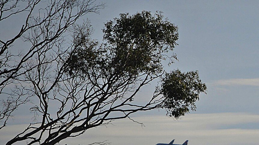 A low flying plane in Tasmania's south east.