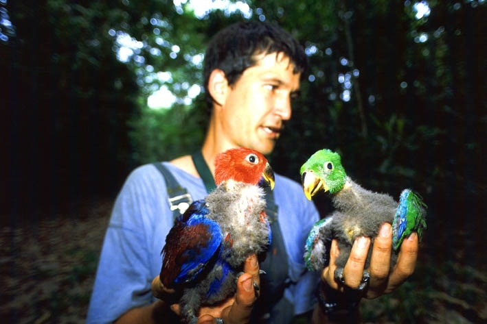 Professor Heinsohn holds two parrots