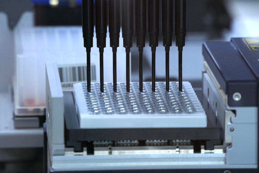 A close-up of medical machines at work. It has descending pipettes dipping into individual COVID-19 samples