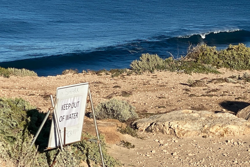 A white sign reading KEEP OUT OF WATER sits on top of a rocky cliff overlooking the deep blue ocean in the background. 