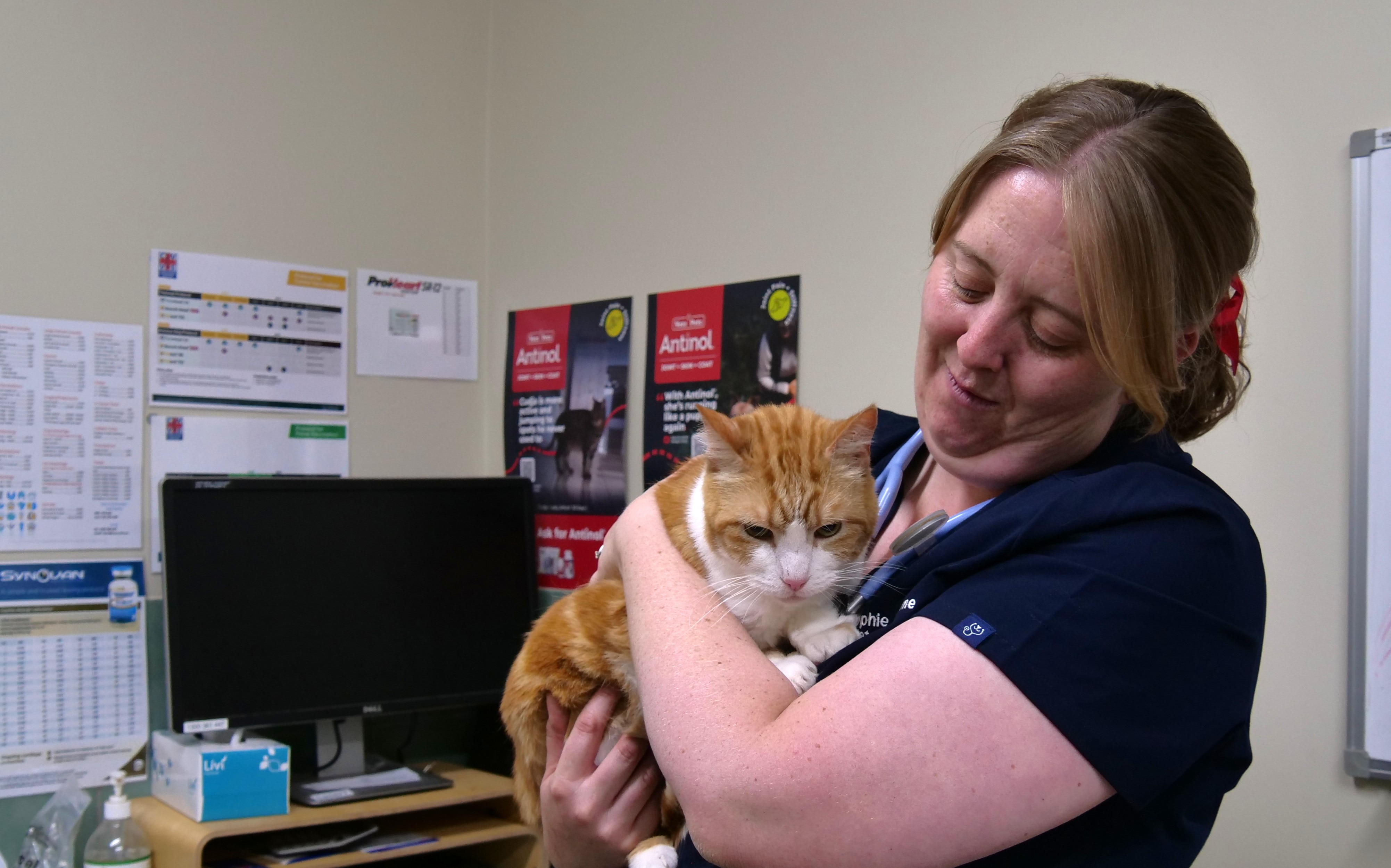 Un veterinario con el pelo largo y rubio recogido hacia atrás y vestido con un abrigo azul sostiene un gato pelirrojo