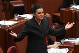 Senator Jaquie Lambie gestures in the Senate