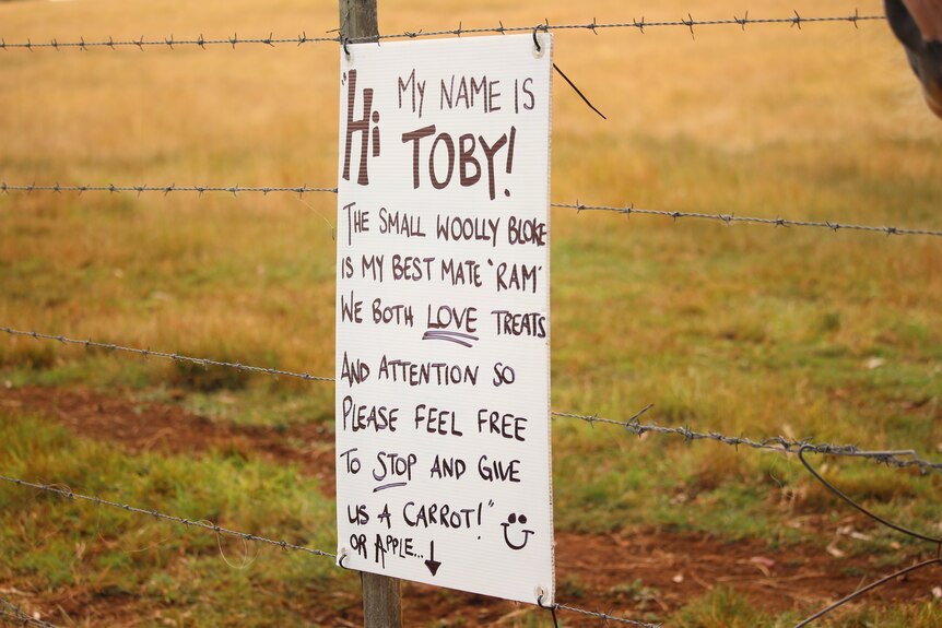 A handwritten sign hangs on a paddock fence, displaying the names of the animals and inviting people to stop