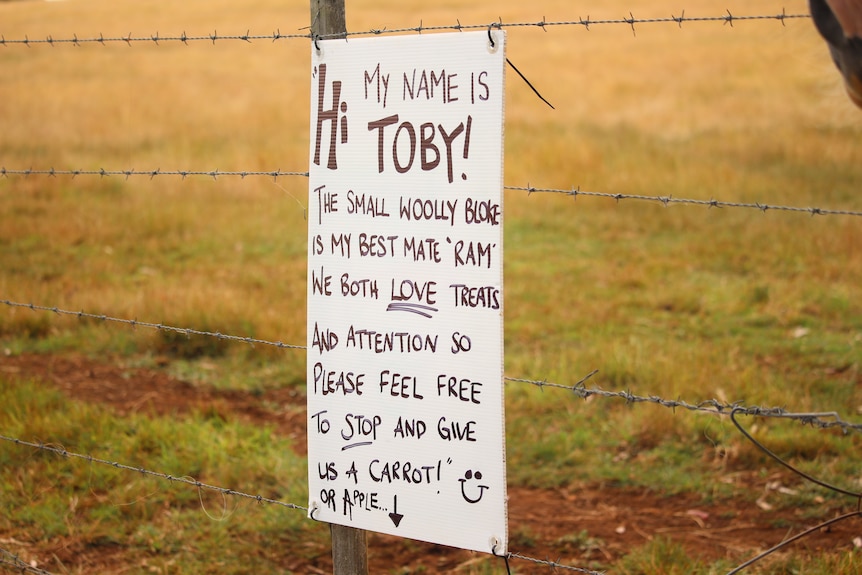 A handwritten sign hangs on a paddock fence, displaying the names of the animals and inviting people to stop