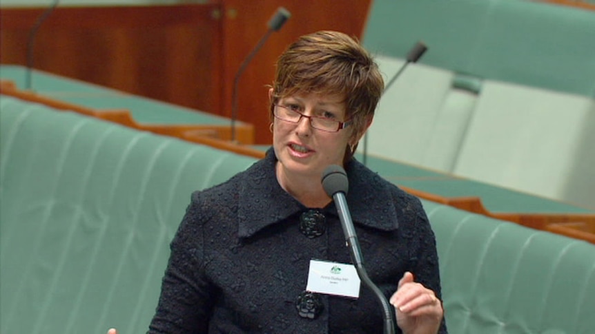 Speaker Anna Burke welcomes new MPs to Parliament