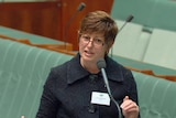 Speaker Anna Burke welcomes new MPs to Parliament