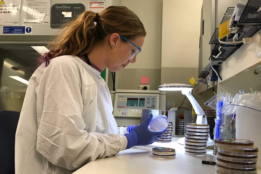 A lab technician working in the Melbourne Sexual Health Centre laboratory.