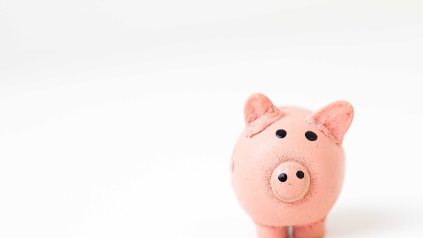 A pink piggy bank on a white background