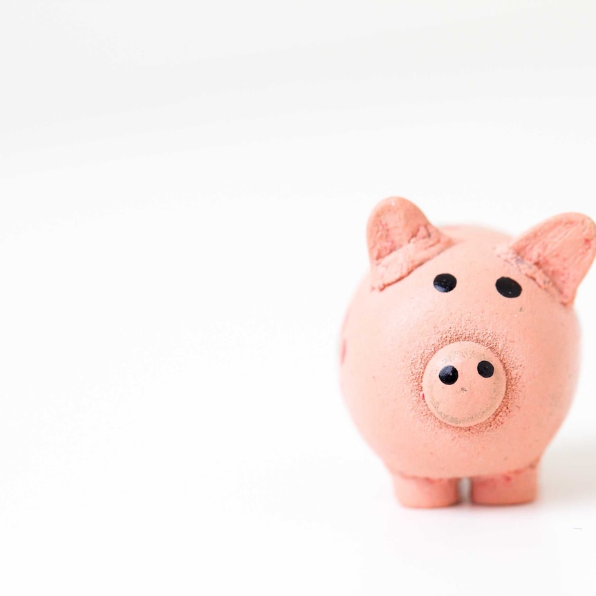 A pink piggy bank sits right of centre against a stark white background.