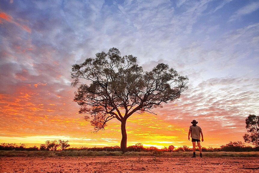 A man stands under a tree in silhouette during a sunset at the Lass O'Gowrie homestead near Charleville in outback Queensland.