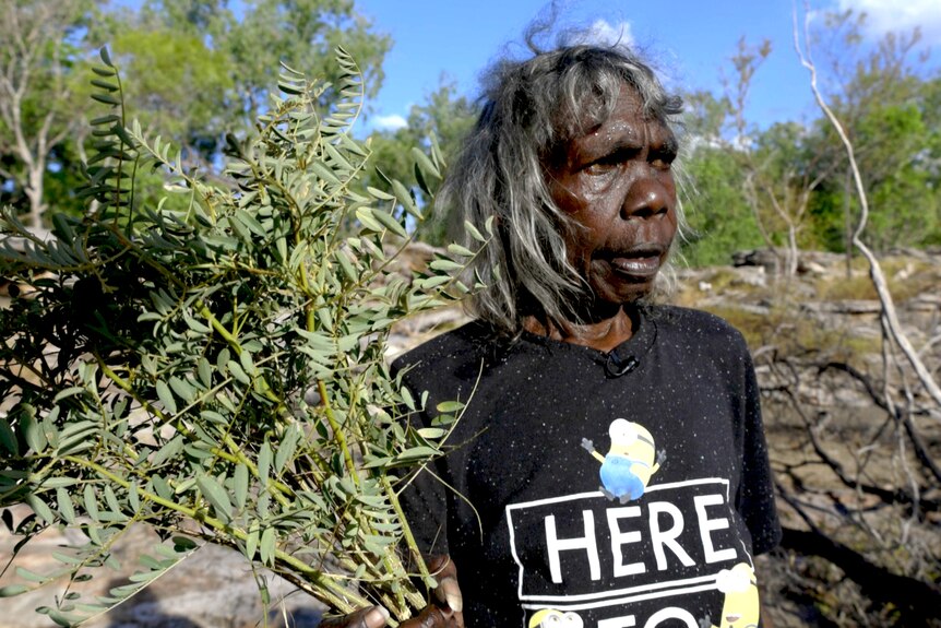 Elder Laura Rungguwanga looks past the camera, holding the plant she uses for fishing. 