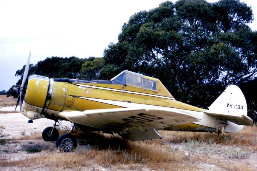 A small yellow plane from the 1960s sitting in a field