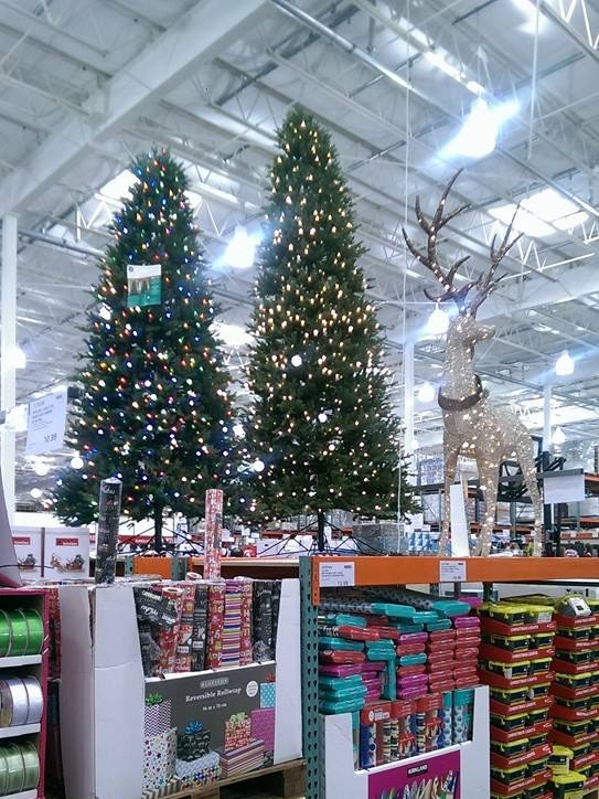 A large warehouse retailer, Christmas trees and other decorations on display.