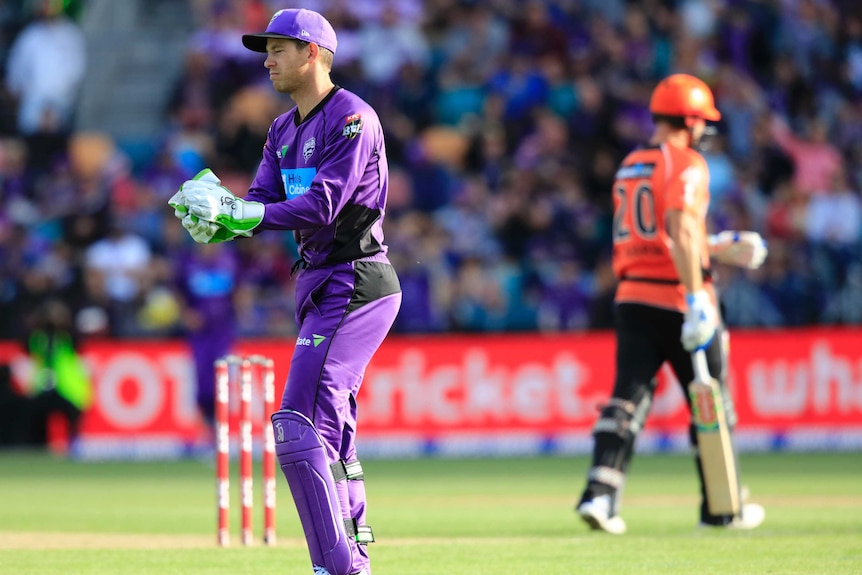 Tim Paine keeping for Hobart Hurricanes