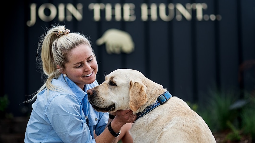 A woman patting a labrador dog on a truffle farm in northern Tasmania