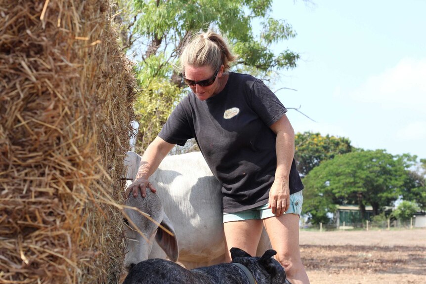 A woman pats a calf on a farm.