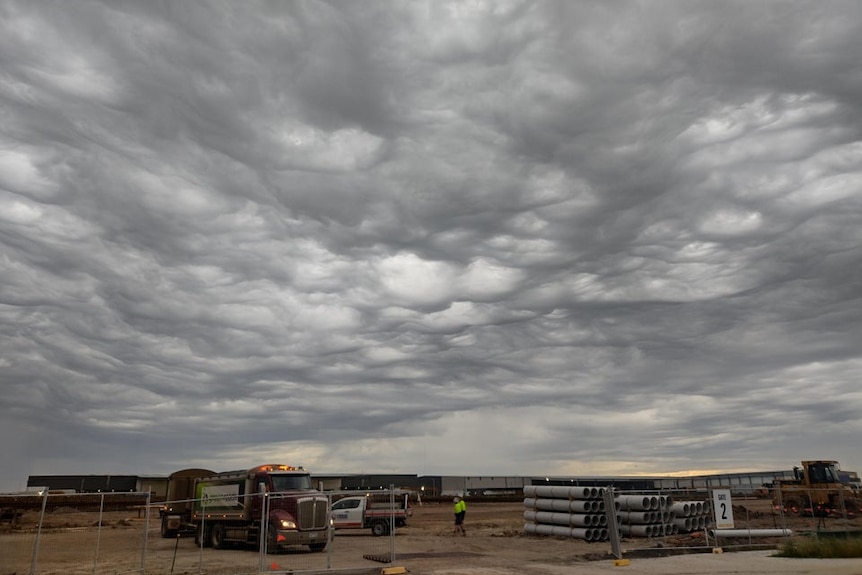 Dark cloud gather over a field in Victoria. 