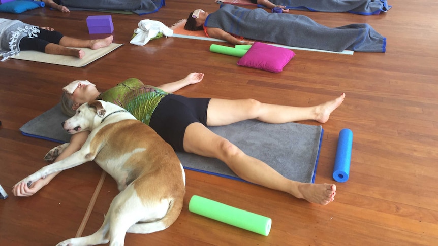 A dog lays with its owner at the end of one of Heather Eldridge's yoga classes.