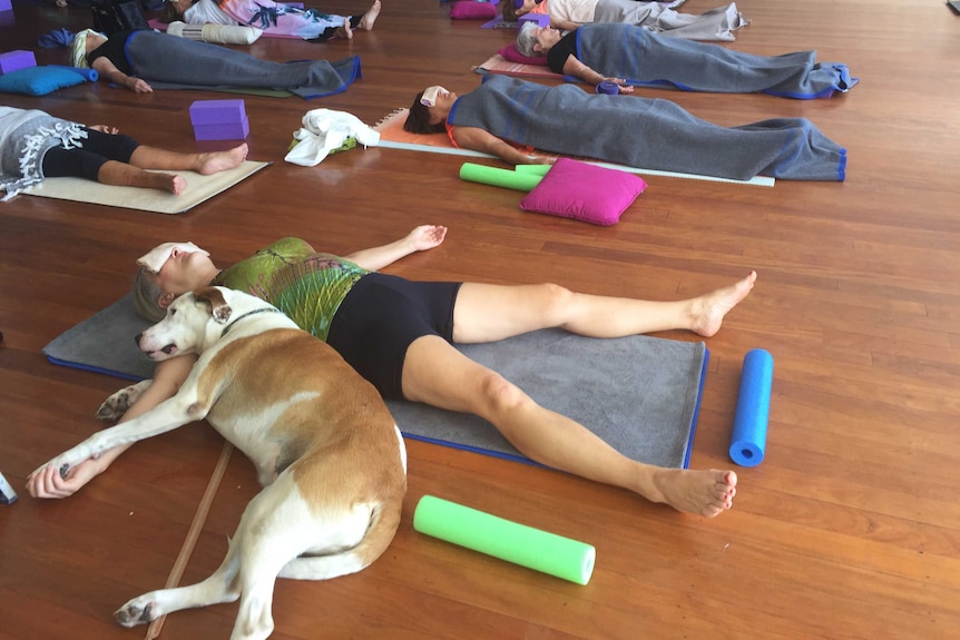 A dog lays with its owner at the end of one of Heather Eldridge's yoga classes.