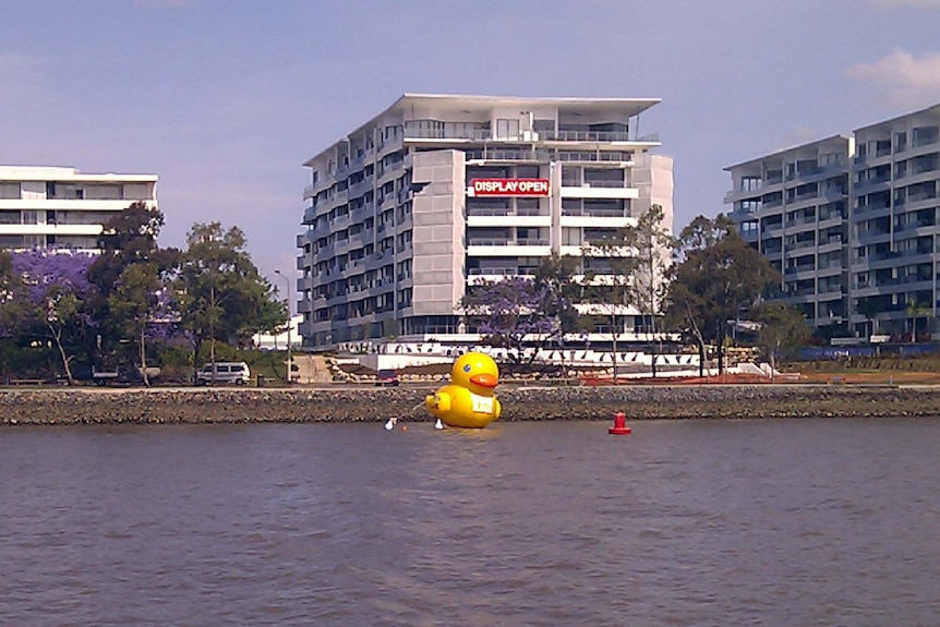 A giant rubber duck floats down the Brisbane River