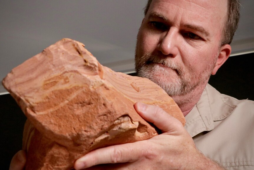 a man examining a large orange fossil, bigger than his head