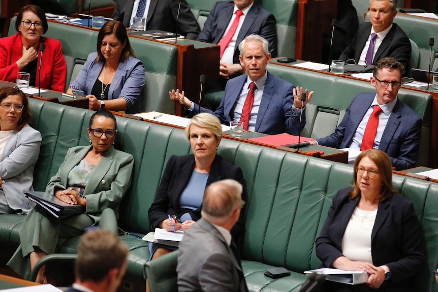 Andrew Giles shrugs while looking at the prime minister in question time 