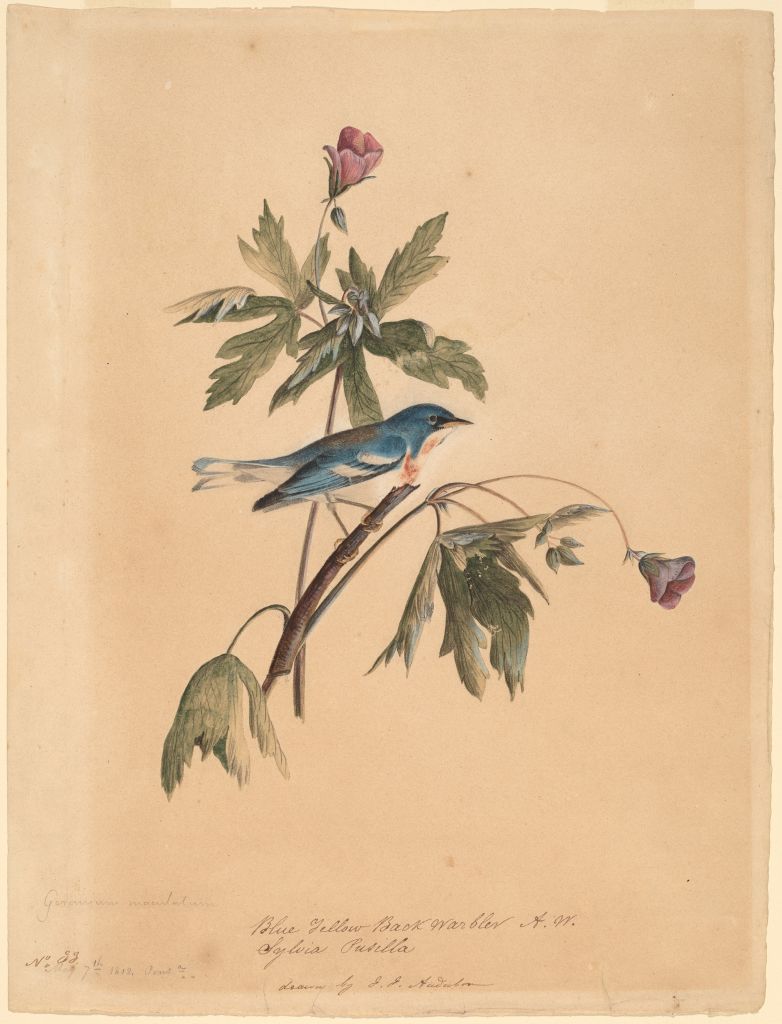 cover of episode Turning time