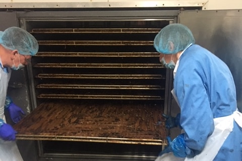 Two staff from the Endeavour Foundation's Business Solutions facility placing the jerky in an oven to dry.