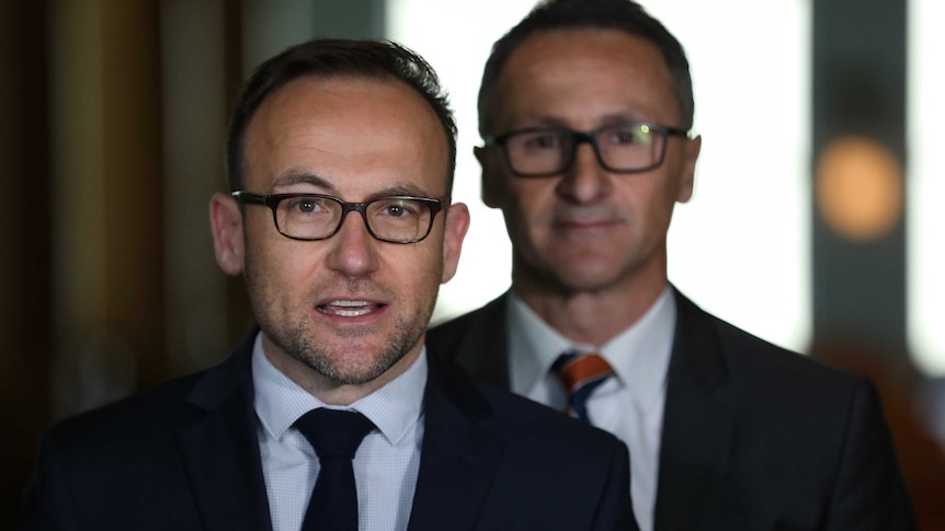 Richard Di Natale stands behind Adam Bandt as he addresses the media