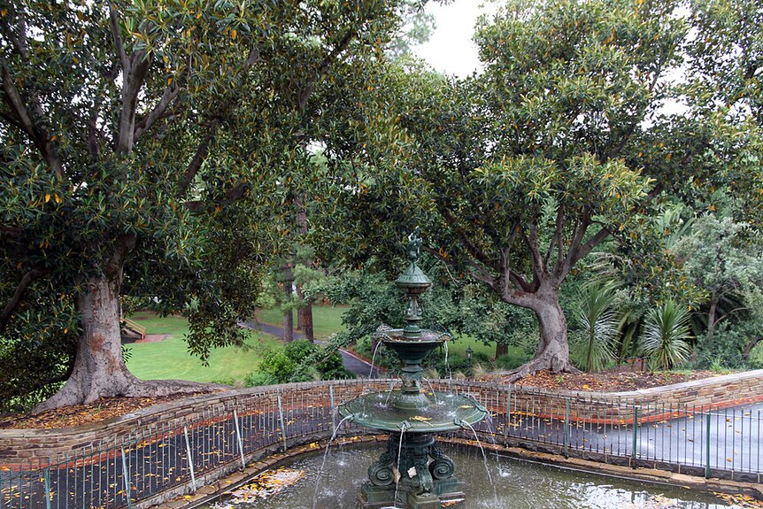 Trees and fountain in Bendigo's Rosalind Park in central Victoria.