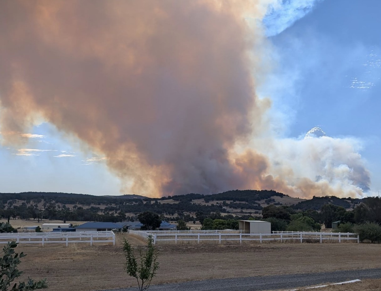 El humo cubrió una zona rural y una carretera