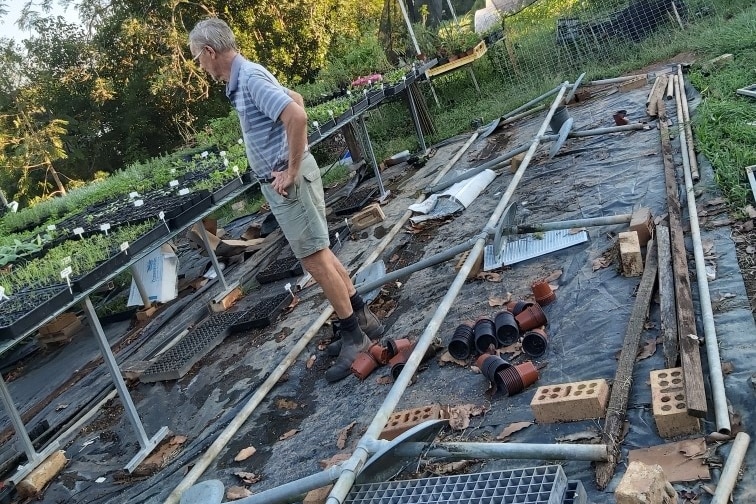 A grey-haired man standing in amongst the wreckage of raised seedling beds.