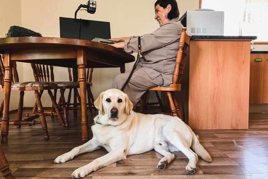 A woman sits at a kitchen table with a guide dog at her side.