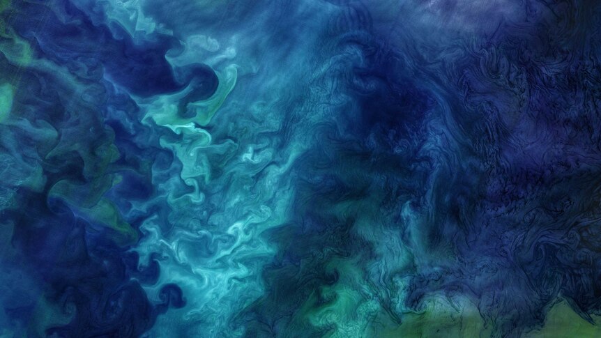 Satellite image of swirling plankton in a blue sea