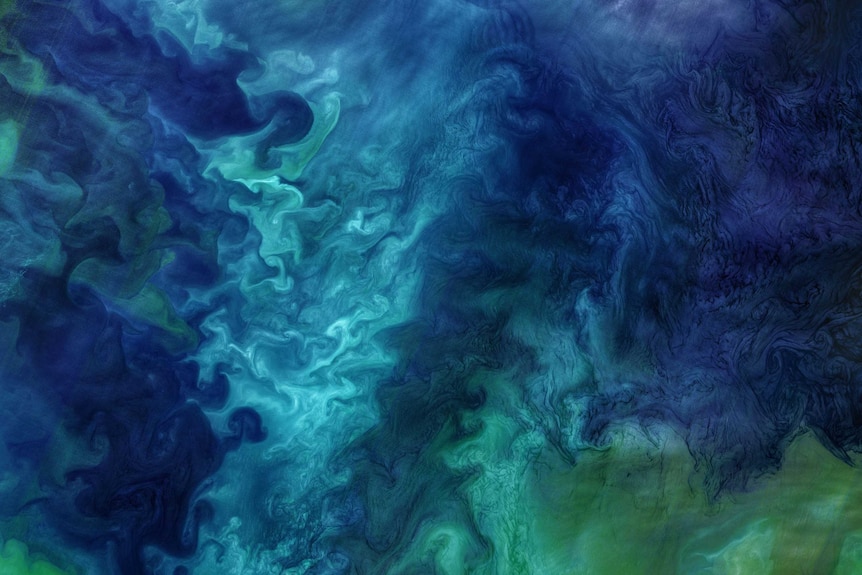 Satellite image of swirling plankton in a blue sea