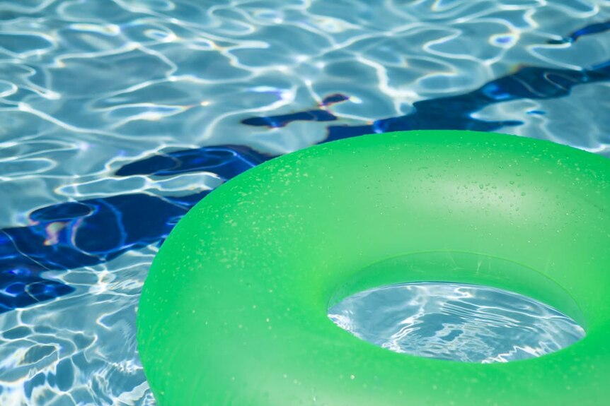 A pool toy floating in a backyard pool.