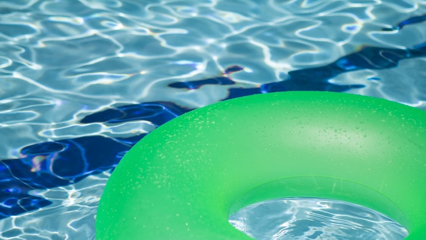 A pool toy floating in a backyard pool.